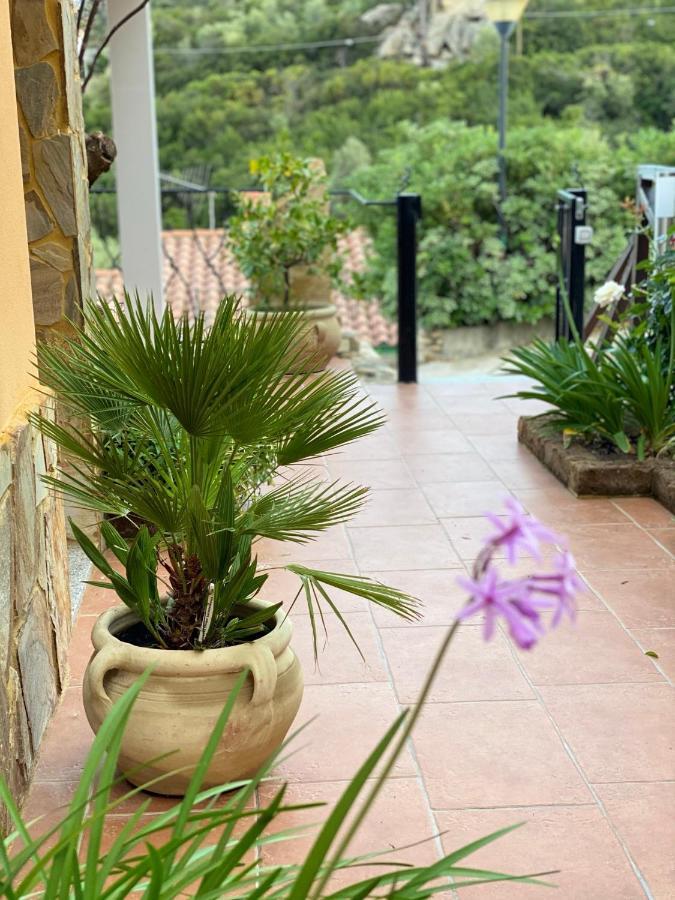 Sa Terrazza Costarei Villa Costa Rei Exteriör bild